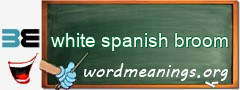 WordMeaning blackboard for white spanish broom